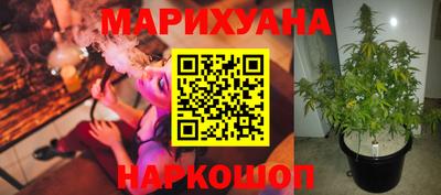 jwh Бийск