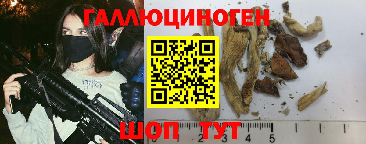 Большой Камень  где найти наркотики  Псилоцибиновые грибы мухоморы  Вход с VPN  Галлюциногенные грибы MAGIC MUSHROOMS 